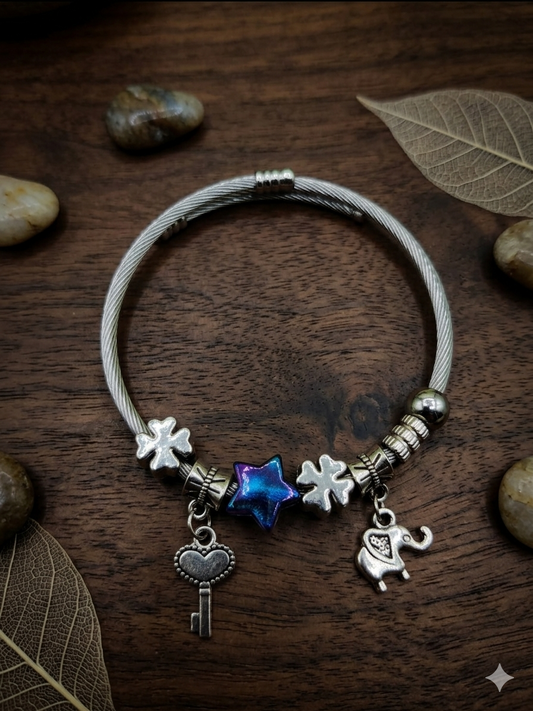 Imported Elegant Pandora-Style Charm Bracelet